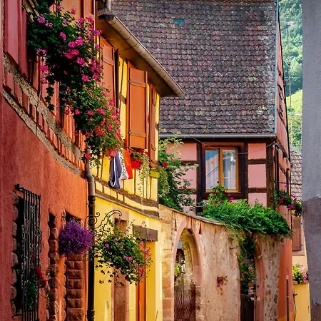 La Maison D'yvonne *
